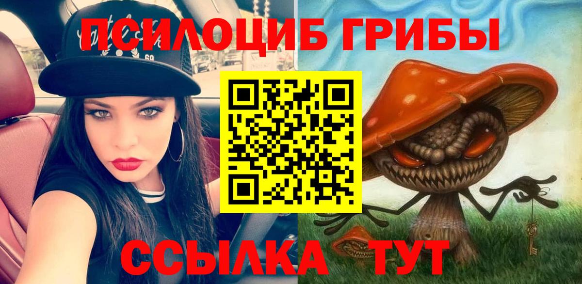 Псилоцибиновые грибы Psilocybine cubensis Краснодар